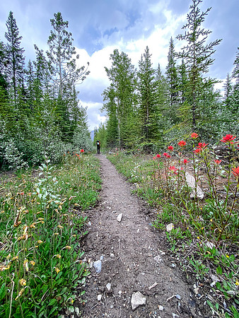 Hiking back along the Cascade fire road trail to Tinda.
