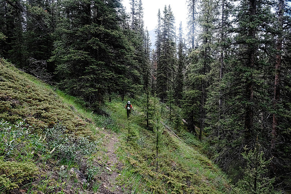 Exiting McConnell Creek.