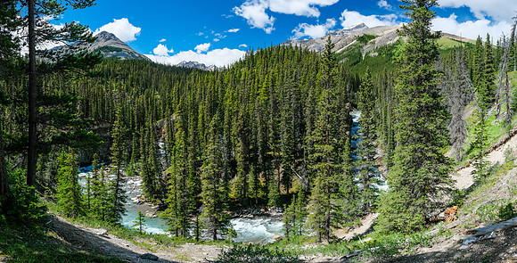 McConnell Creek.