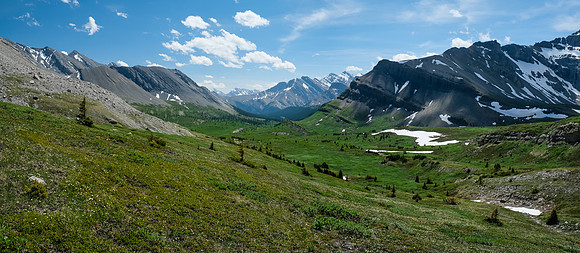 The NW McConnell meadows.