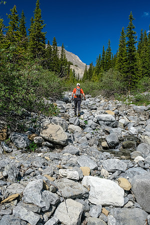 Ascending the west drainage of Boar Station.