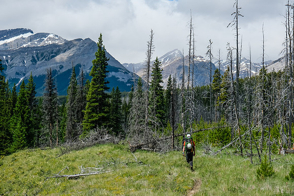 Hiking the Red Deer River trail.