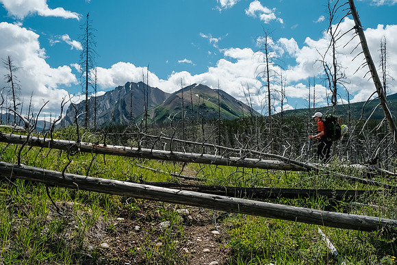 Hiking back along the Red Deer River.