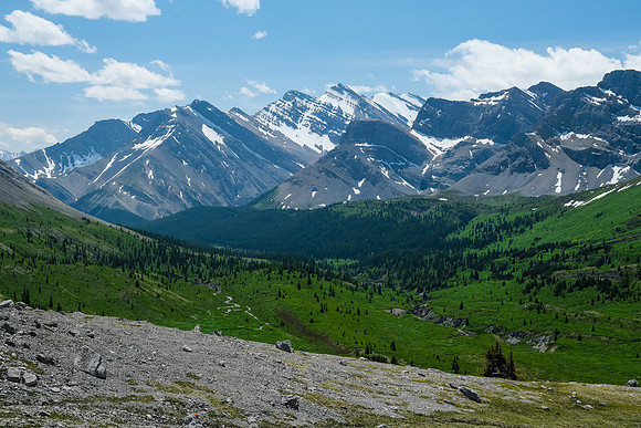 The NW McConnell meadows.