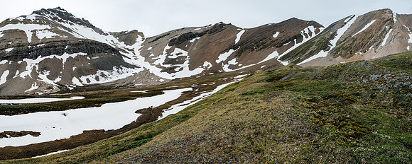 Hiking back to our bivy across the gorgeous McConnell meadows.