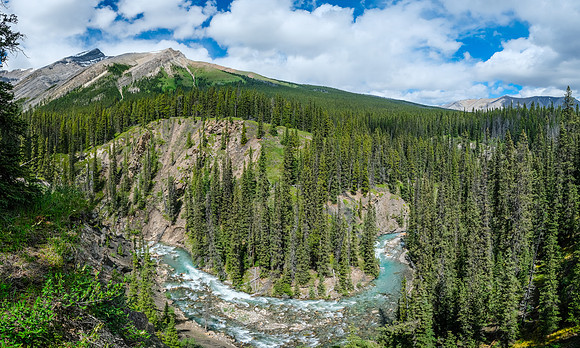 McConnell Creek.