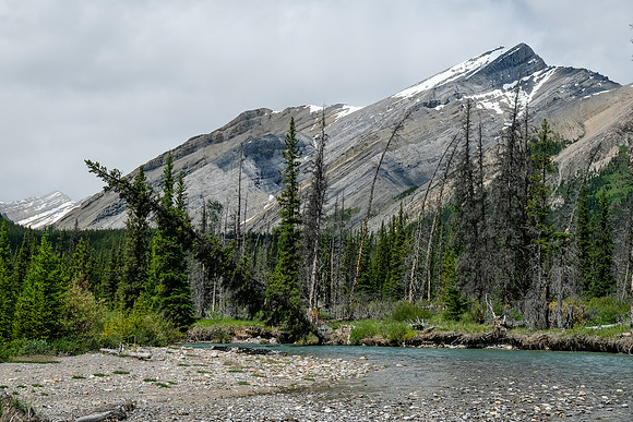 Boar Station above McConnell Creek.