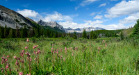 3-flowered Avens and Prow Mountain.