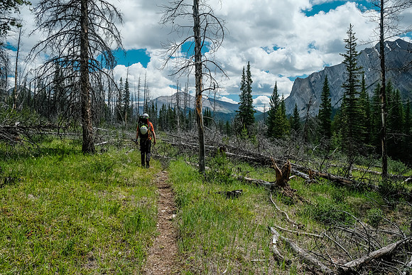 Hiking back along the Red Deer River.