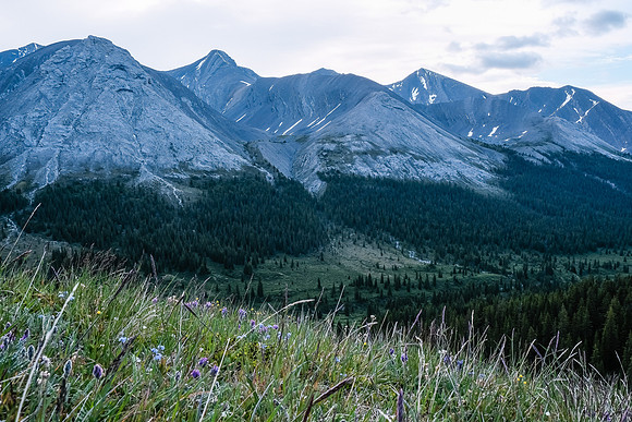 Traversing into the NW valley of McConnell Creek.
