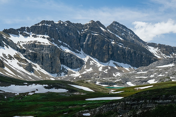 The NW McConnell meadows.