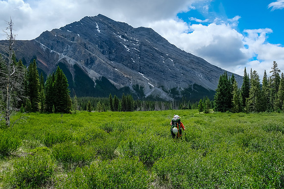 Hiking the Red Deer River trail.