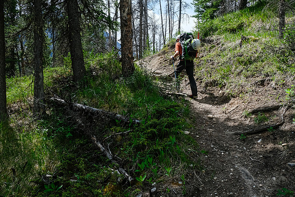 Hiking the Red Deer River trail.