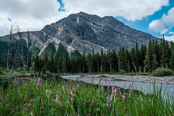 Exiting McConnell Creek.