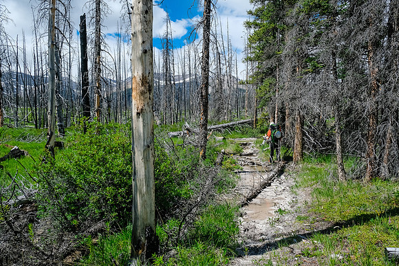 Hiking the Red Deer River trail.