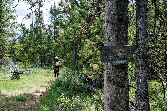 Hiking back along the Red Deer River at the Divide Pass junction.