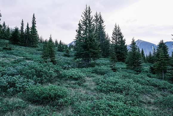 Traversing into the NW valley of McConnell Creek.