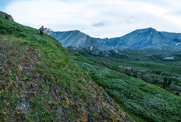 Traversing into the NW valley of McConnell Creek.