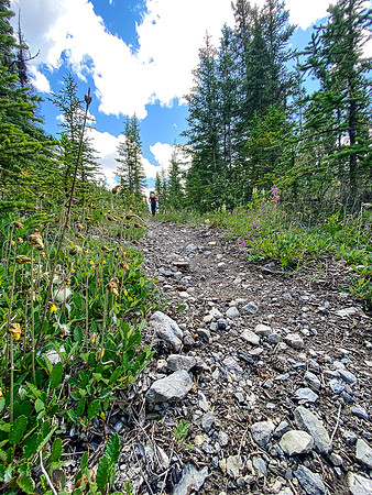 Hiking back along the Red Deer River.