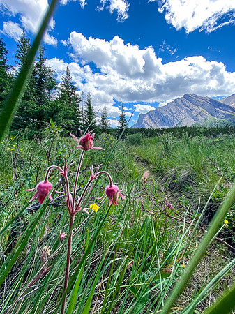 Hiking back along the Red Deer River.