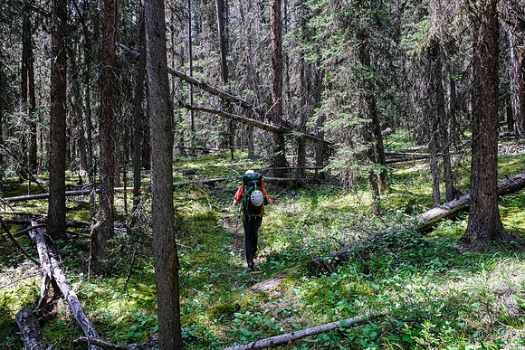 Hiking up McConnell Creek.