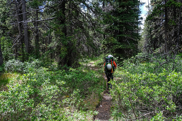 Hiking the Red Deer River trail.