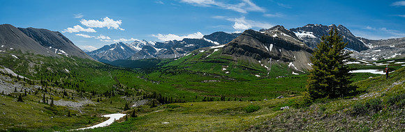 The NW McConnell meadows.