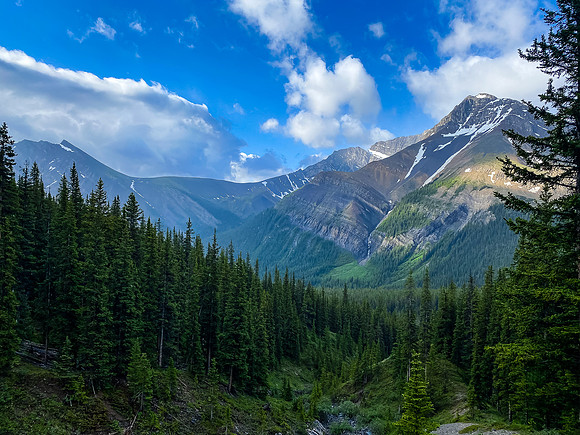 Views across McConnell Creek.