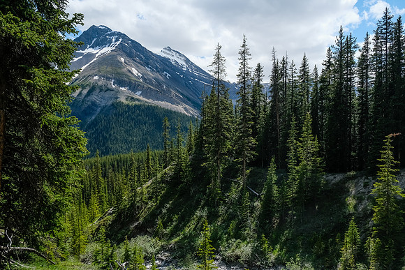 Views across McConnell Creek.
