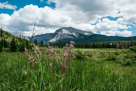 Hiking back along the Cascade fire road trail to Tinda.