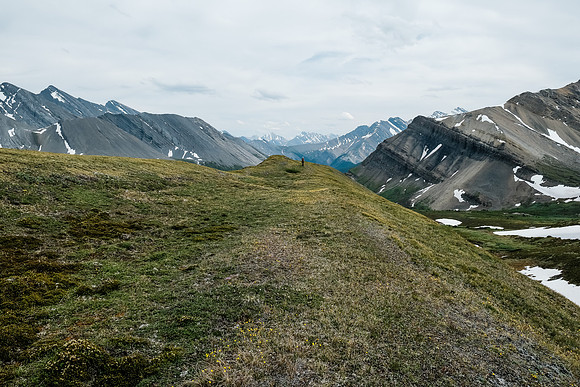Hiking back to our bivy across the gorgeous McConnell meadows.