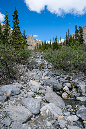 Ascending the west drainage of Boar Station.
