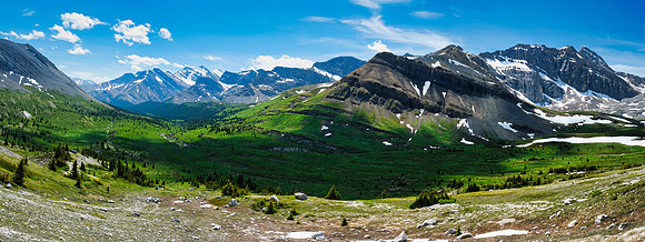 The NW McConnell meadows.