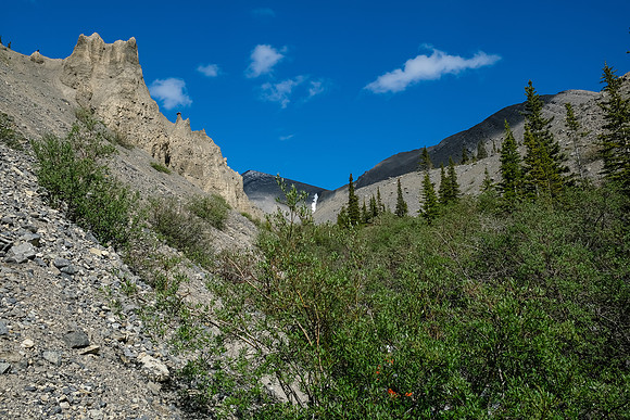 Ascending the west drainage of Boar Station.