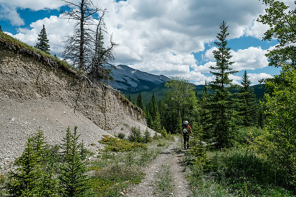 Hiking back along the Cascade fire road trail to Tinda.