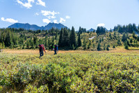Crossing the Siffleur River valley on route to the Quartzite col.