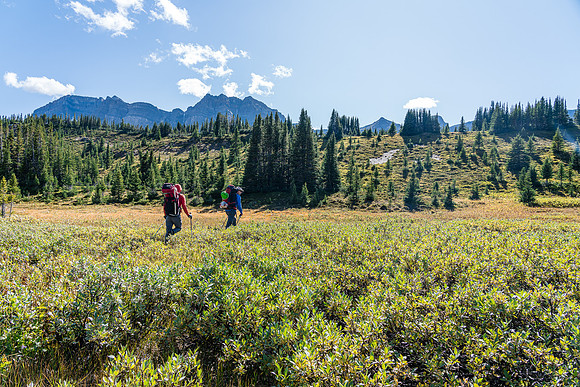 Crossing the Siffleur River valley on route to the Quartzite col.