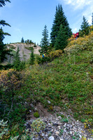 Descending a steep gully to the upper stretches of the north branch of Mosquito Creek.