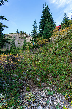 Descending a steep gully to the upper stretches of the north branch of Mosquito Creek.