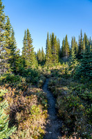 The trail is overgrown enough that we got absolutely soaked from the morning dew.
