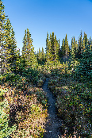 The trail is overgrown enough that we got absolutely soaked from the morning dew.