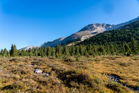 Starting our off trail ramble towards the lower SW slopes of Clearwater Mountain.