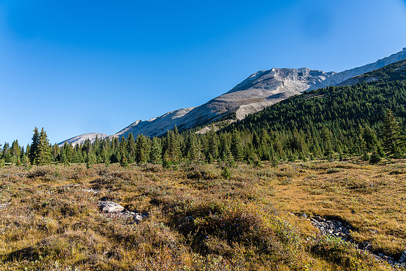 Starting our off trail ramble towards the lower SW slopes of Clearwater Mountain.