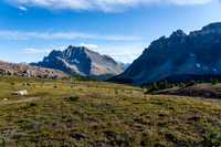 Hiking alpine meadows towards Mosquito Creek.