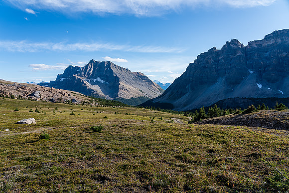 Hiking alpine meadows towards Mosquito Creek.