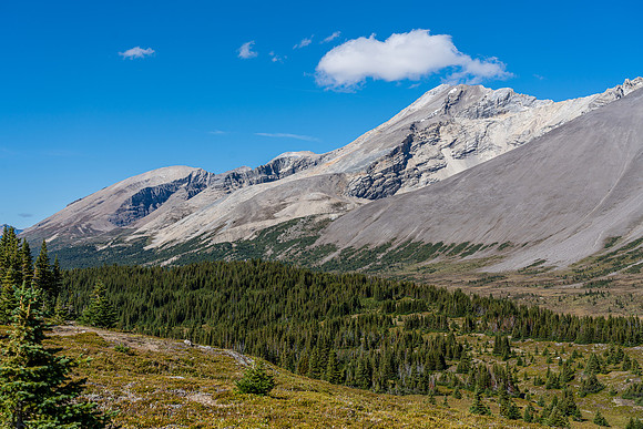 Crossing the Siffleur River valley views back up Clearwater Mountain (R).