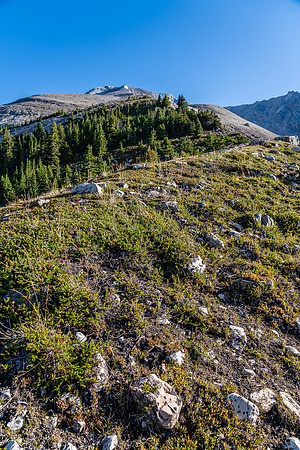 Ascending the lower SW ridge of Clearwater Mountain.