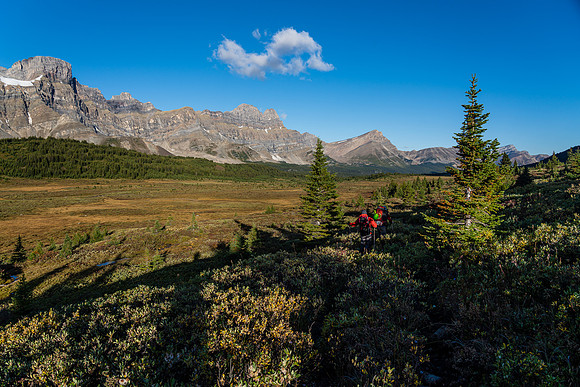 Hiking NW along the soaking wet lower Siffleur trail with Watermelon and Bobac rising at left.