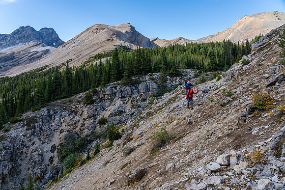 Descending a steep gully to the upper stretches of the north branch of Mosquito Creek.
