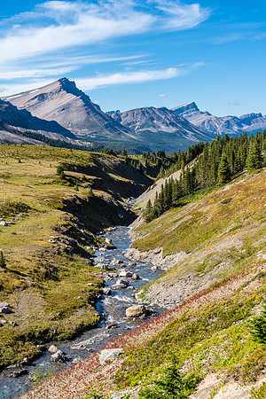 Views down the Siffleur River valley from just before the Quartzite Col.